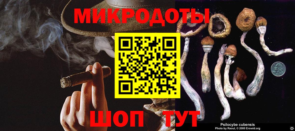 Галлюциногенные грибы Psilocybine cubensis  Вход с VPN  Ефремов 